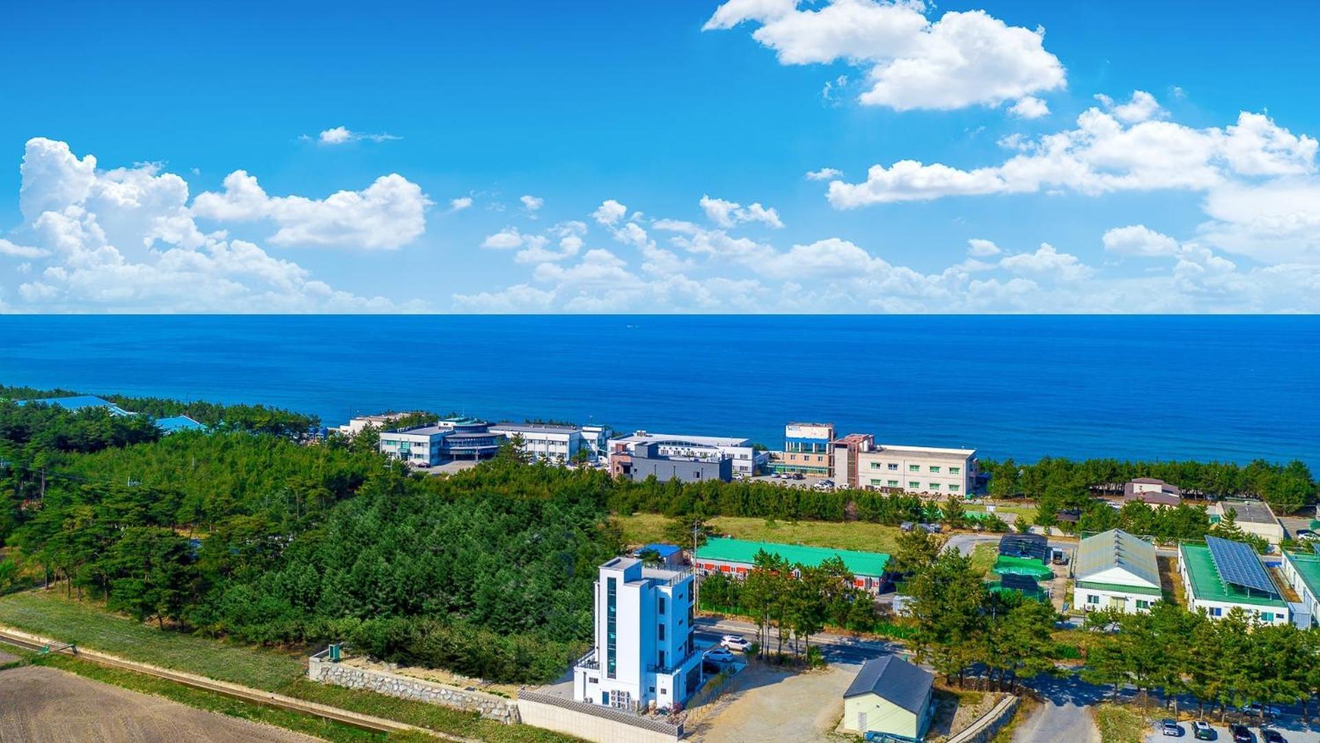 Gangneung Hello 4000 Pension ภายนอก รูปภาพ